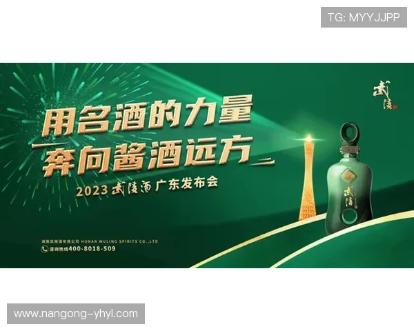 壹号娱乐有限公司：引领娱乐行业创新发展的先锋企业