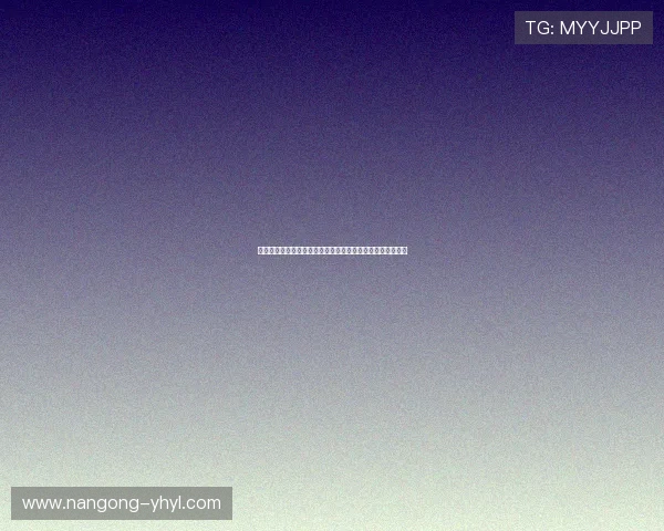 一号娱乐平台登录：详细操作指南帮助新手快速完成登录流程